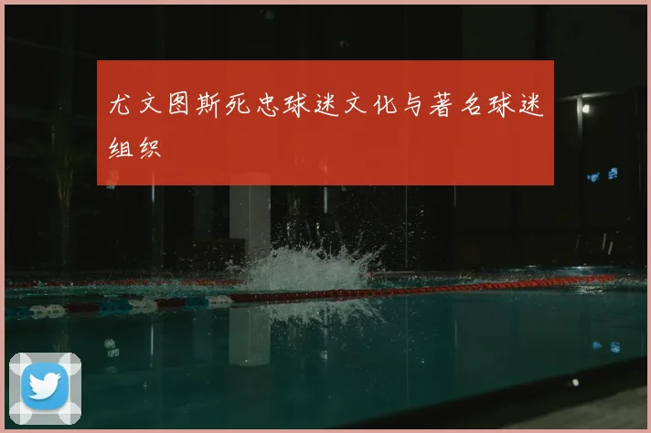 尤文图斯死忠球迷文化与著名球迷组织
