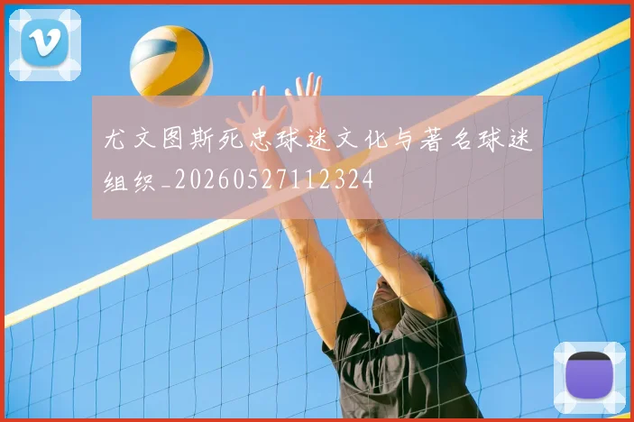 尤文图斯死忠球迷文化与著名球迷组织_20260527112324
